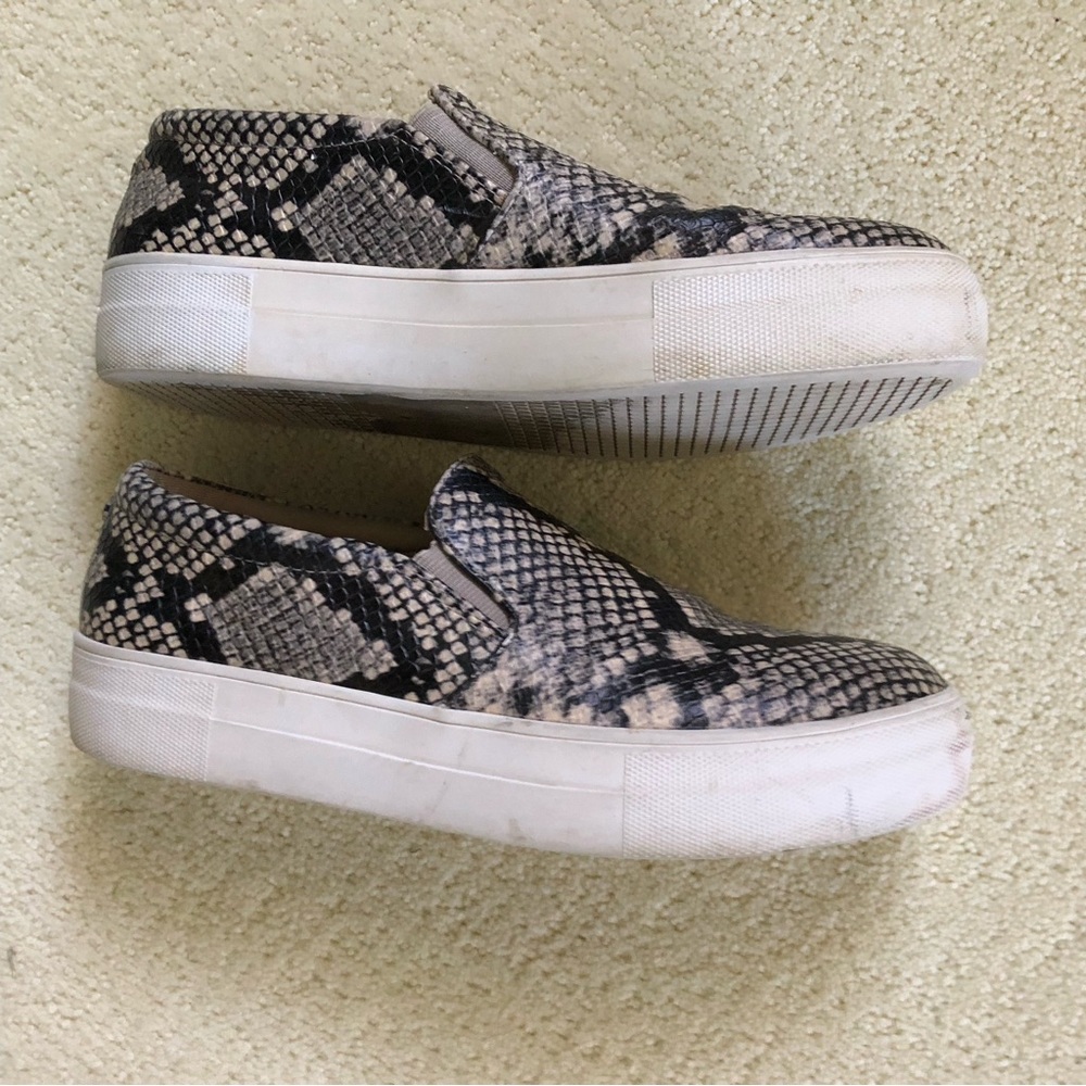Steve Madden Gills Reptile Pattern Slip-On Sneaker - image 4